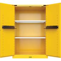 Utili-Guard+ Flammable Safety Cabinet, 45 gal., 2 Door, 43" W x 65" H x 22" D Ontario Safety Products