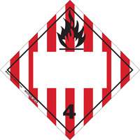 Plaque-&eacute;tiquette TMD pour solides inflammables, Vinyle adh&eacute;sif Ontario Safety Products