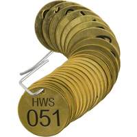 Brass Numbered "HWS" Valve Tags SX767 | Ontario Safety Product