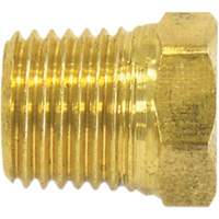 Bouchon de tuyau (t&ecirc;te hexagonale), 1/2" dia., Laiton Ontario Safety Products