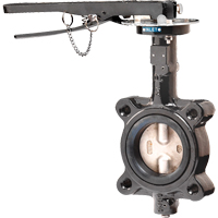 Butterfly Valves - Series BFV, 2" Pipe, 225 PSI THZ622 | Ontario Safety Product