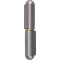 Weld-On Hinge, 0.453" Dia. x 2.756" L, Mild Steel w/Fixed Steel Pin TTV435 | Ontario Safety Product