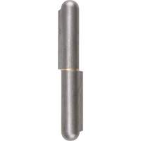 Weld-On Hinge, 0.787" Dia. x 5.906" L, Mild Steel w/Fixed Steel Pin TTV442 | Ontario Safety Product