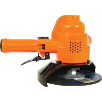 Cleco<sup>®</sup> 3060 Series - Vertical Grinder TYM452 | Ontario Safety Product
