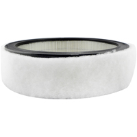 PA2073 Filtre &agrave; visser pour transmission Ontario Safety Products