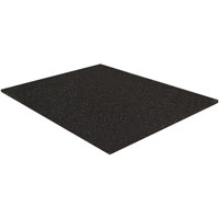 PA3835 Filtre pour transmission Ontario Safety Products