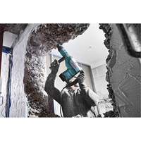 SDS-Max&reg; Rotary Hammer Ontario Safety Products