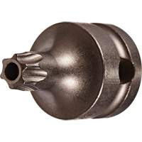 Socket Bit, Torx&reg; Tamper, 25 x 1" L, 3/8" Drive Ontario Safety Products