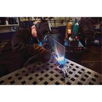 Vise-Grip&reg; Fast Release 11R Locking Pliers, 11" Length, C-Clamp Ontario Safety Products