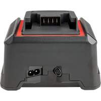 2.5 Ah & 5.0 Ah Battery Charger, 120 V, Lithium-Ion UAK313 | Ontario Safety Product