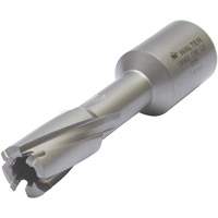 Outil de coupe annulaire avec mandrin soud&eacute;, Diam&egrave;tre de 12 mm, Carbure, Profondeur de la coupe de 30 mm, Tige 3/4" Ontario Safety Products