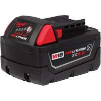 Bloc-piles &agrave; capacit&eacute; &eacute;tendue Redlithium XC5.0, Lithium-ion, 18 V Ontario Safety Products