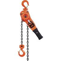 KLP Series Lever Chain Hoists, 5' Lift, 1500 lbs. (0.75 tons) Capacity, Steel Chain UAW099 | Ontario Safety Product