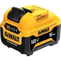 Bloc-pile MAX*, Lithium-ion, 12 V, 5 Ah Ontario Safety Products