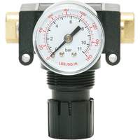 D&eacute;tendeur &agrave; piston en ac&eacute;tal MODULAIR 200, 1/4" NPT, PSI max. de 150 psi, Canalisation/Modulaire Ontario Safety Products