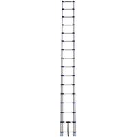 Telescopic Ladder, 3' - 15.5', Aluminum, 250 lbs. Capacity, Type 1 VC252 | Ontario Safety Product