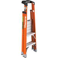 Safespace Platform Step Ladder, 2', 300 lbs. Cap. Ontario Safety Products