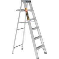 Step Ladder with Paint Tray, 6', Aluminum, 225 lbs. Capacity, Type 2 Ontario Safety Products