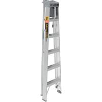 Step Ladder with Paint Tray, 6', Aluminum, 225 lbs. Capacity, Type 2 Ontario Safety Products