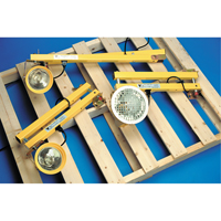 Dock Lights, 60" Arm, Incandescent Lamp, Metal XA208 | Ontario Safety Product