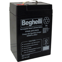 Sealed Lead Acid Batteries, 6 V, 5 Ah XA604 | Ontario Safety Product