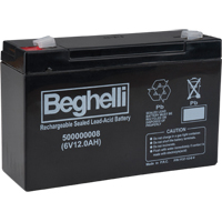 Sealed Lead Acid Batteries, 6 V, 12 Ah XA605 | Ontario Safety Product