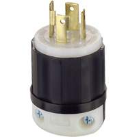 3-Pole 4-Wire Grounding Locking Plug, Nylon, 30 Amps, 125 V/250 V, L14-30P XA896 | Ontario Safety Product