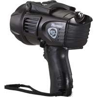 Projecteurs style pistolet Waypoint, DEL, 550 Lumens, Piles C Ontario Safety Products