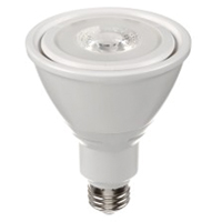 Ampoule DEL, PAR30, 10 W, 800 lumens, base Moyen Ontario Safety Products