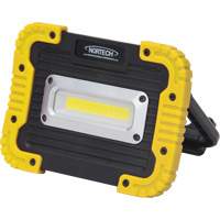 Lampe de travail portative, DEL, 10 W, 1000 lumens, Boîtier en Plastique Ontario Safety Products