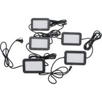 Chaîne de baladeuses DEL, 5 Lumi&egrave;res, 50' lo, Boîtier en Plastique Ontario Safety Products