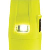 Lampe de poche VLO, DEL, 280 lumens, Piles AA Ontario Safety Products