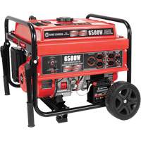 Electric Start Gas Generator with Wheel Kit, 6500 W Surge, 5000 W Rated, 120 V/240 V, 20 L Tank XI537 | Ontario Safety Product